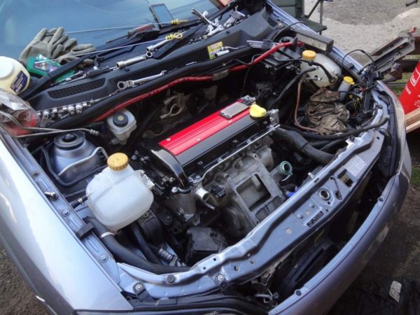 DSC00686 (Medium).JPG