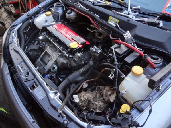 DSC00687 (Medium).JPG