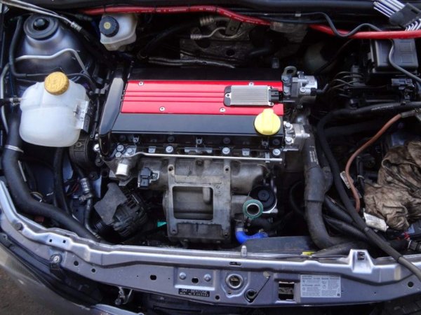 DSC00688 (Medium).JPG