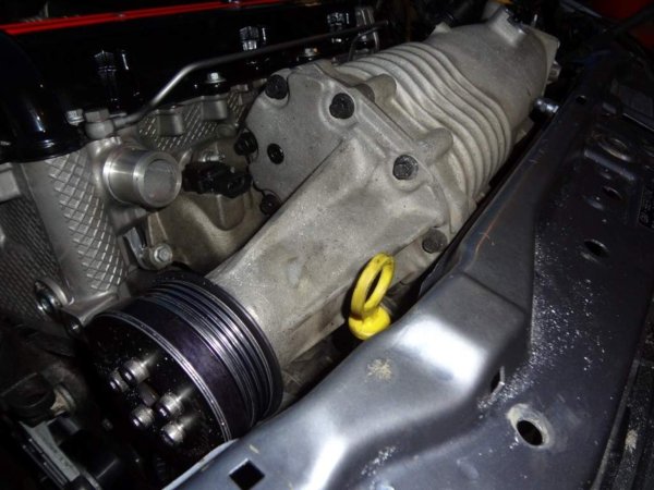 DSC00690 (Medium).JPG