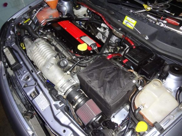 DSC00695 (Medium).JPG