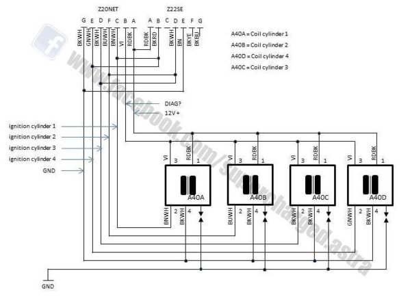 10595845_334262763405258_1933669121_n (1).jpg