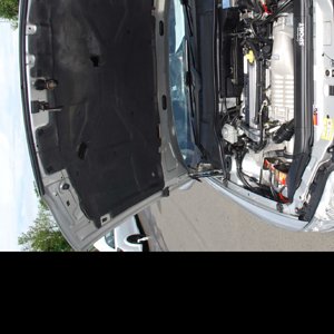 Courtenay Sport 25th Anniversary