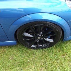 Spring Performance Action Day