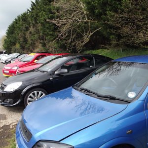 Spring Performance Action Day