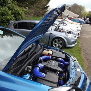 Spring Performance Action Day