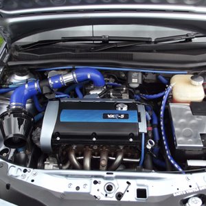 Spring Performance Action Day