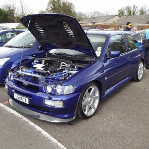 Spring Performance Action Day