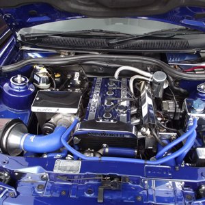 Spring Performance Action Day