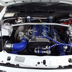 Spring Performance Action Day